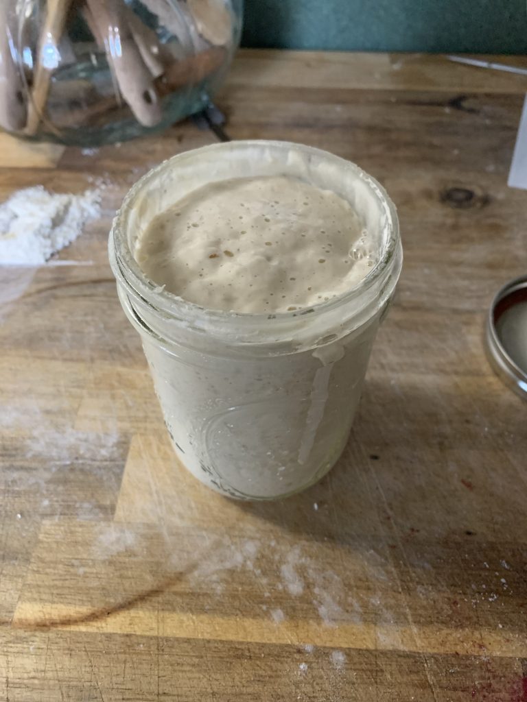 Sourdough Starter in a mason jar close to the rim with bubble action