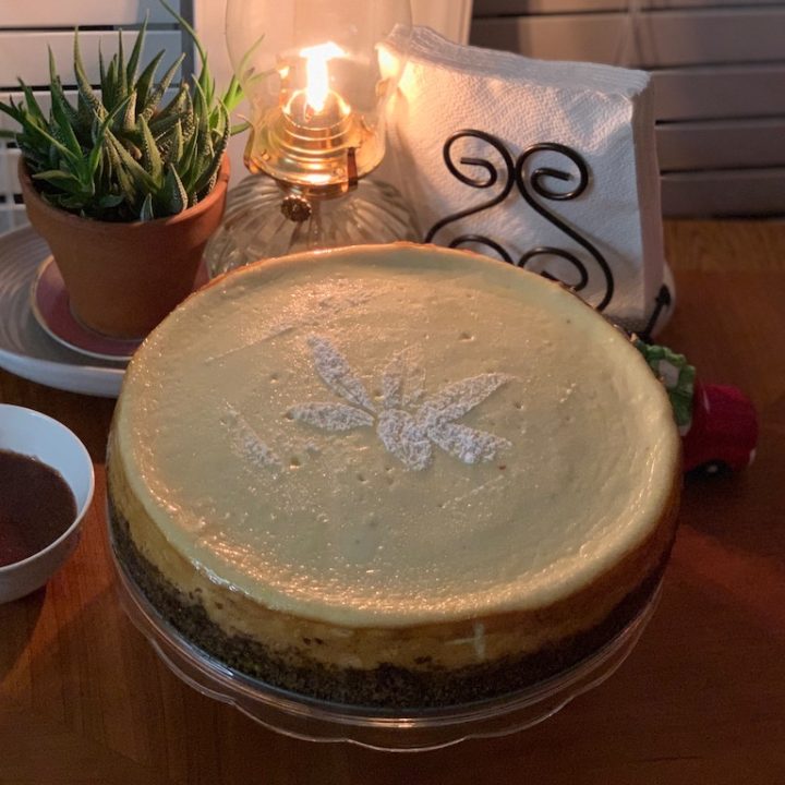 Classic New York Style Cheesecake topped with stenciled powdered sugar poinsettia flower, displayed on dining table with strawberry and chocolate ganache sauces on side.