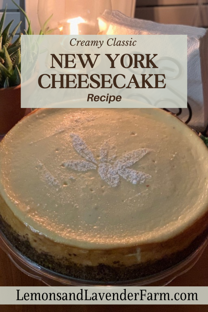 Whole Classic New York Cheesecake with powdered sugar flour stencil 