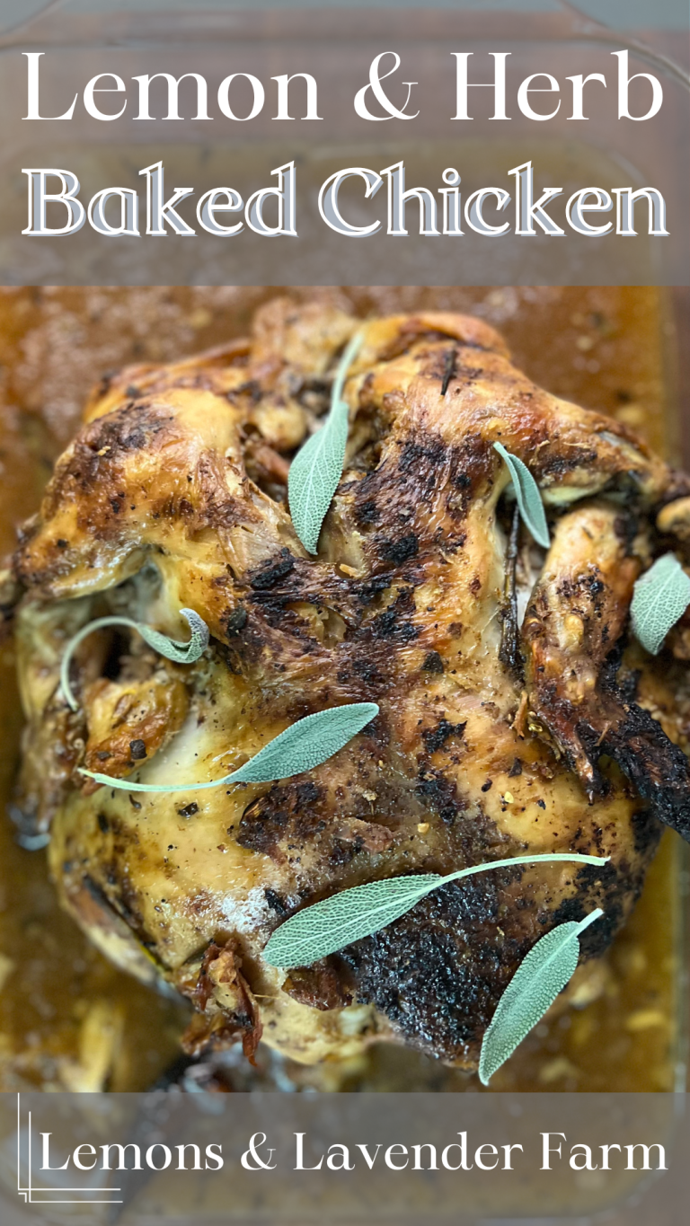 Oven Roasted Herbed Chicken Pin