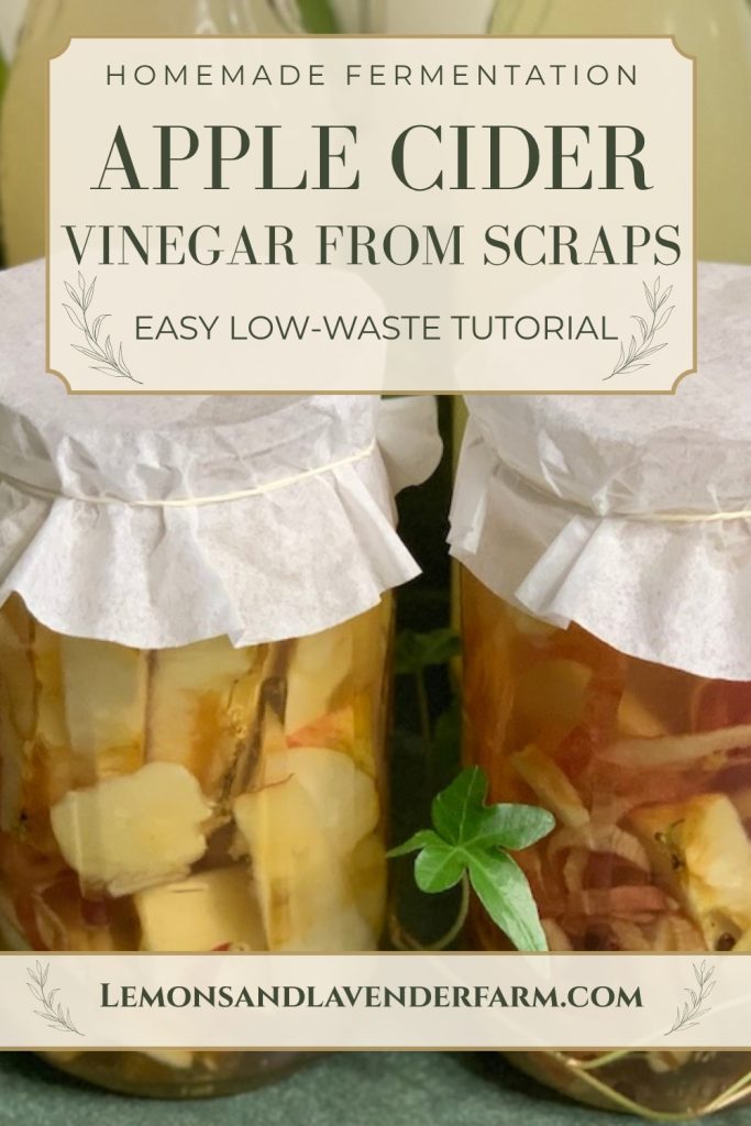 Apple cider vinegar from scraps in fermenting jars with text reading “Easy low-waste tutorial."