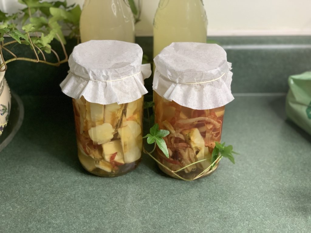 Apple peels and cores fermenting in two covered glass jars