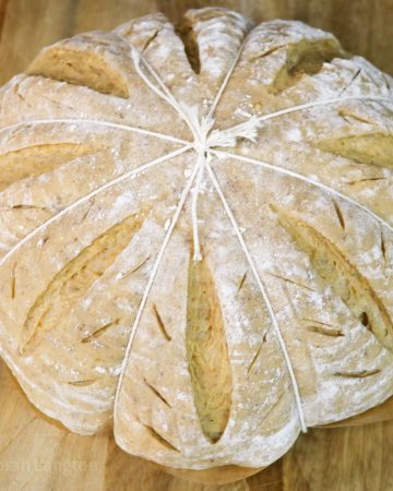 Pumpkin Pie Sourdough boule' shaped like a pumpkin