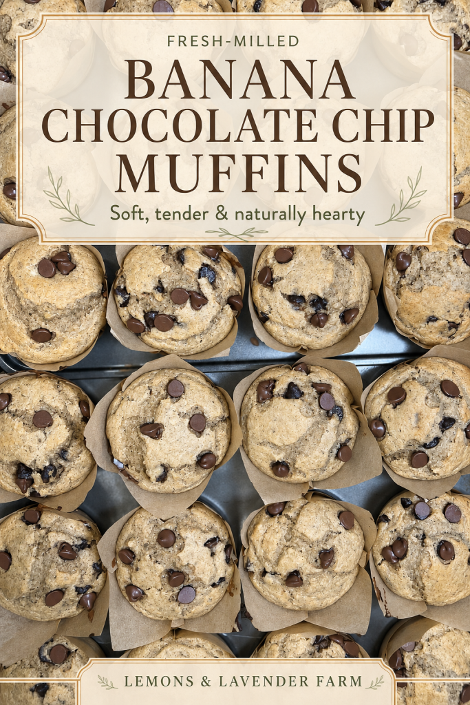 Banana chocolate chip muffins Pinterest pin