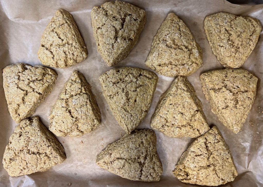 Overhead view of twelve freshly baked pumpkin sourdough discard scones on parchment paper.