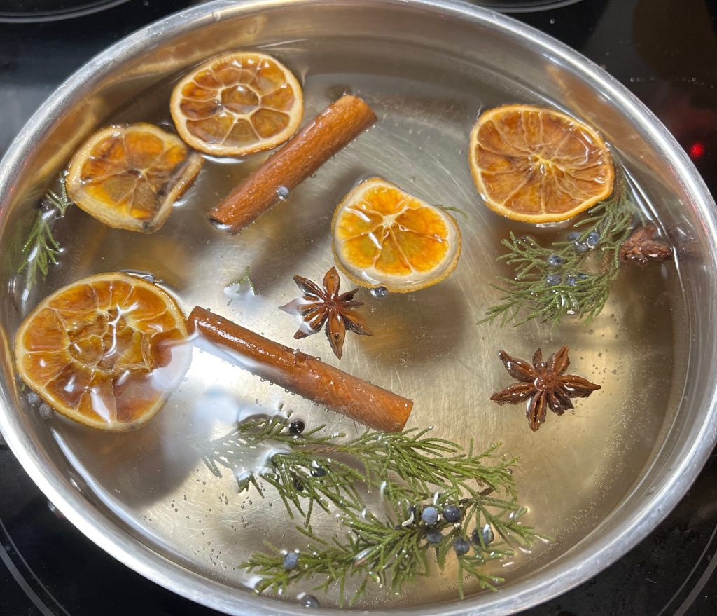 Juniper, orange, cinnamon, and star anise in a pot of water 
