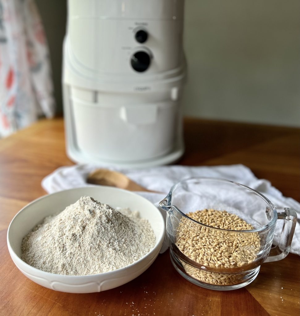 Soft white wheat berries beside freshly milled flour for homemade pumpkin muffins