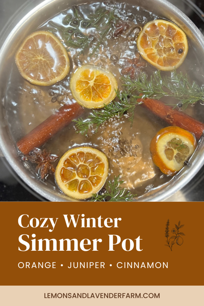 Pinterest Pin reads Cozy Winter Simmer Pot