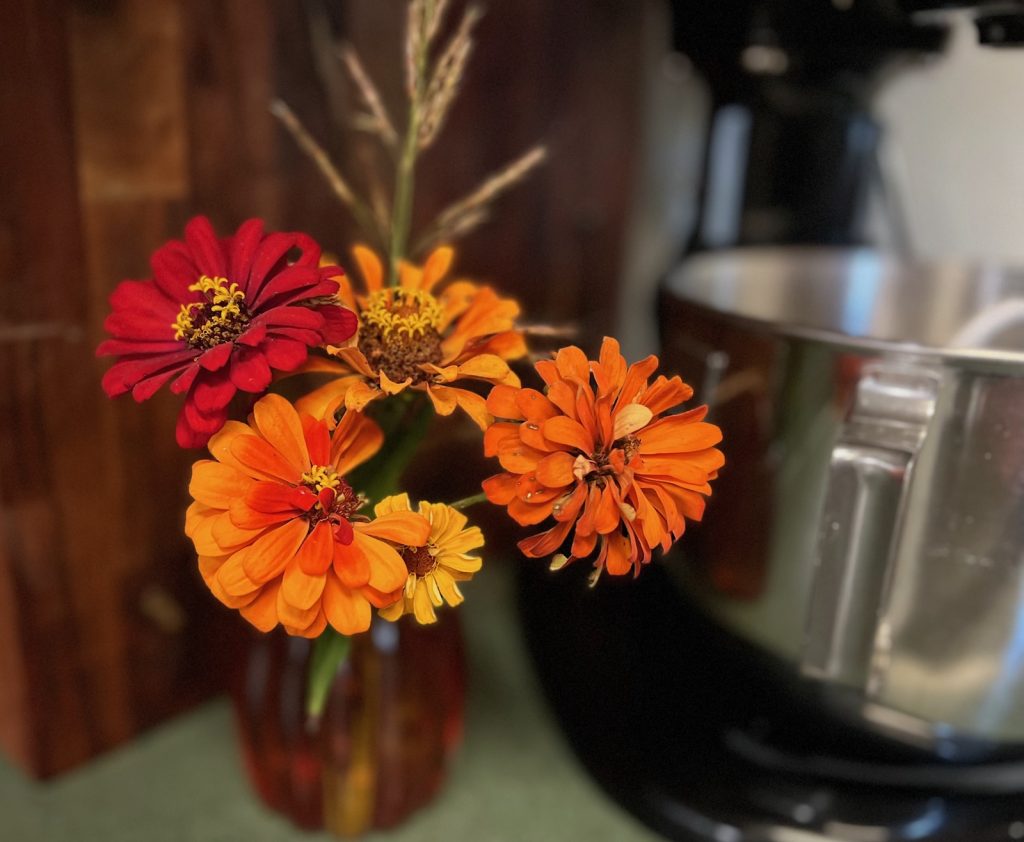 zinnias in an orange pumpkin vase next to a black kitchen mixer and a acacia wood cutting board.