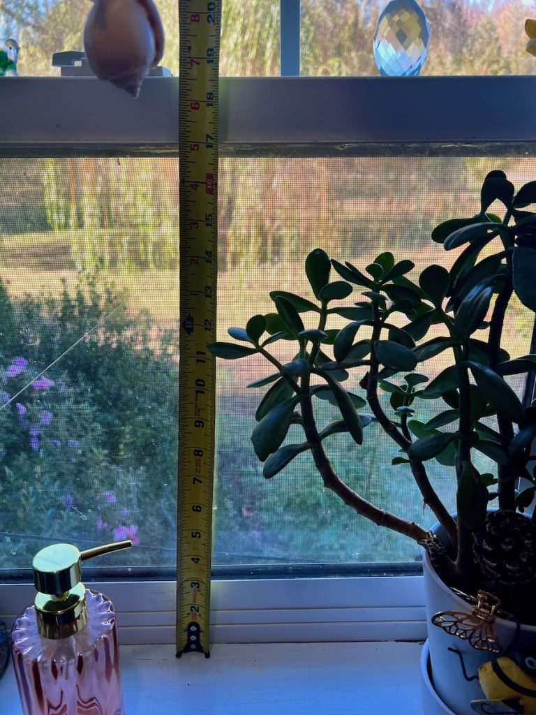 Tape measure taking the length measurement of a window for café curtains. Measured length is 18.5 inches.
